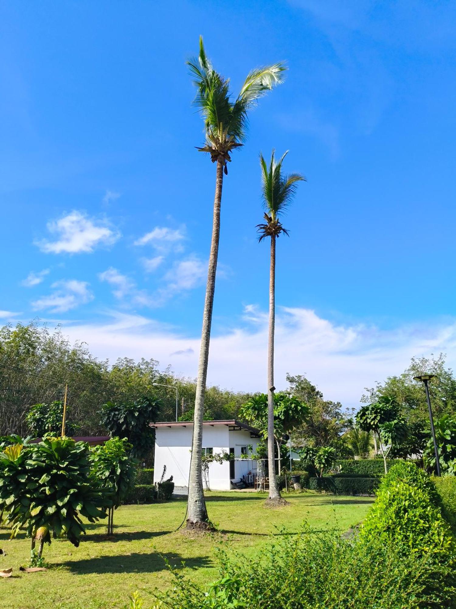 The Lodge At Koh Kood Ko Kut Экстерьер фото